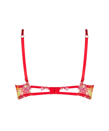 Zacht gevoerde BH Foret Rubis (prachtig robijnrood) Lise Charmel Soft padded Bra Foret Rubis (Beautiful ruby red) - Pleasurements