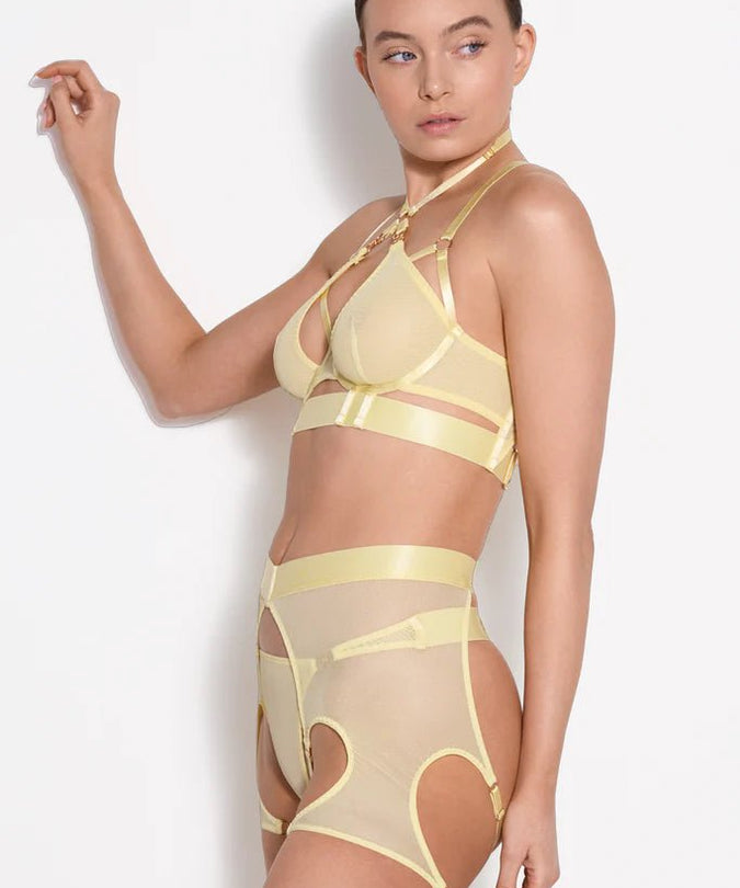 Bordelle Cadi Bodice Bra Lemon - Pleasurements